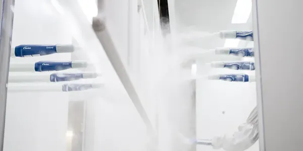 Radiátor uvnitř robotické lakovací linky