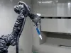Prášková lakovací kabina s robotem GoFa a Nordson HD aplikací