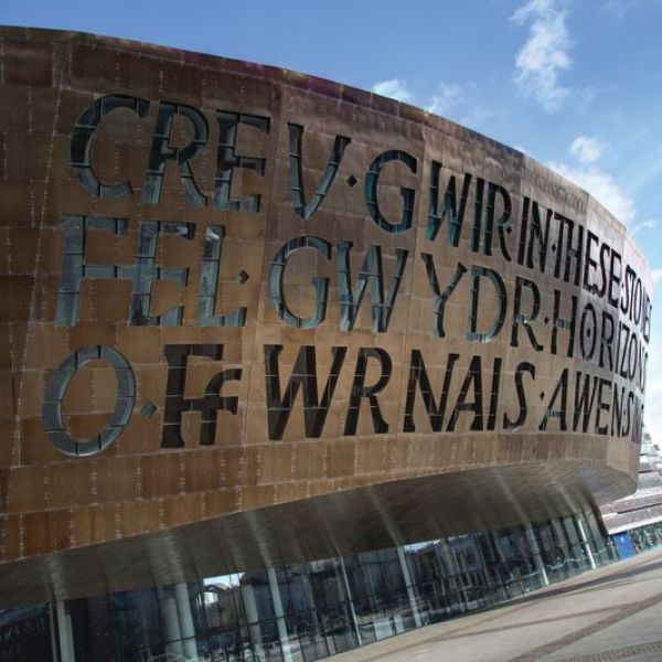 Collection Futura 2018-2021