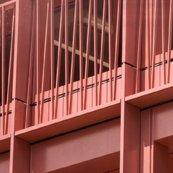 Collection Futura 2022-2025